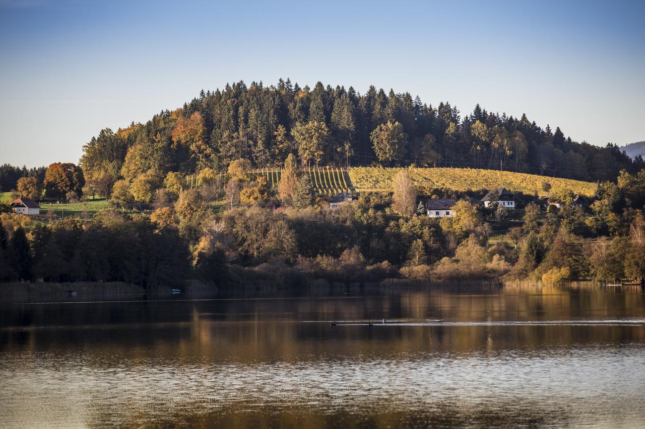 Bed and Breakfast Weingut Georgium Санкт-Георген-ам-Ленгзе Экстерьер фото