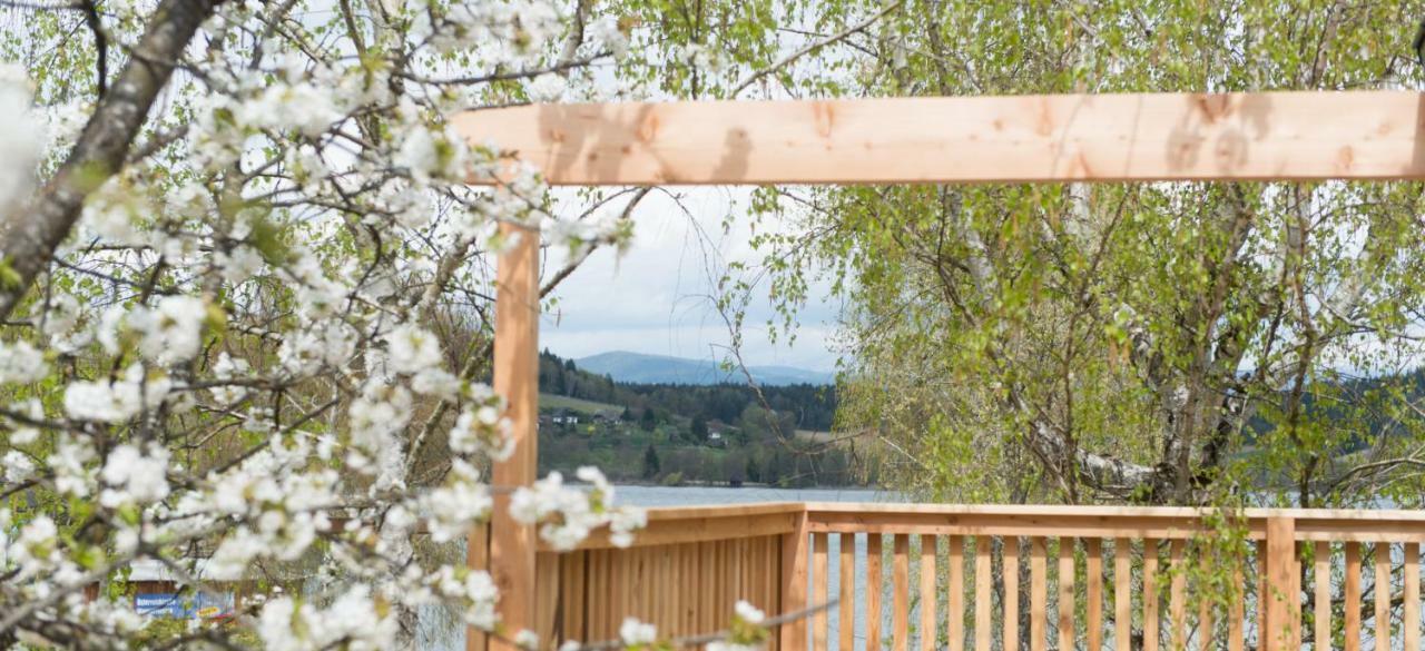 Bed and Breakfast Weingut Georgium Санкт-Георген-ам-Ленгзе Экстерьер фото